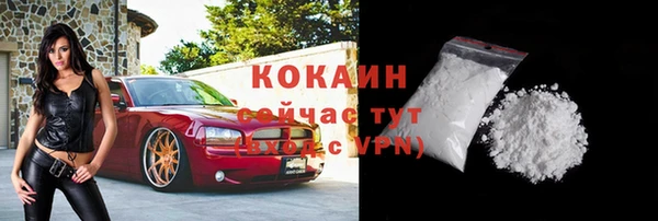хмурый Аша
